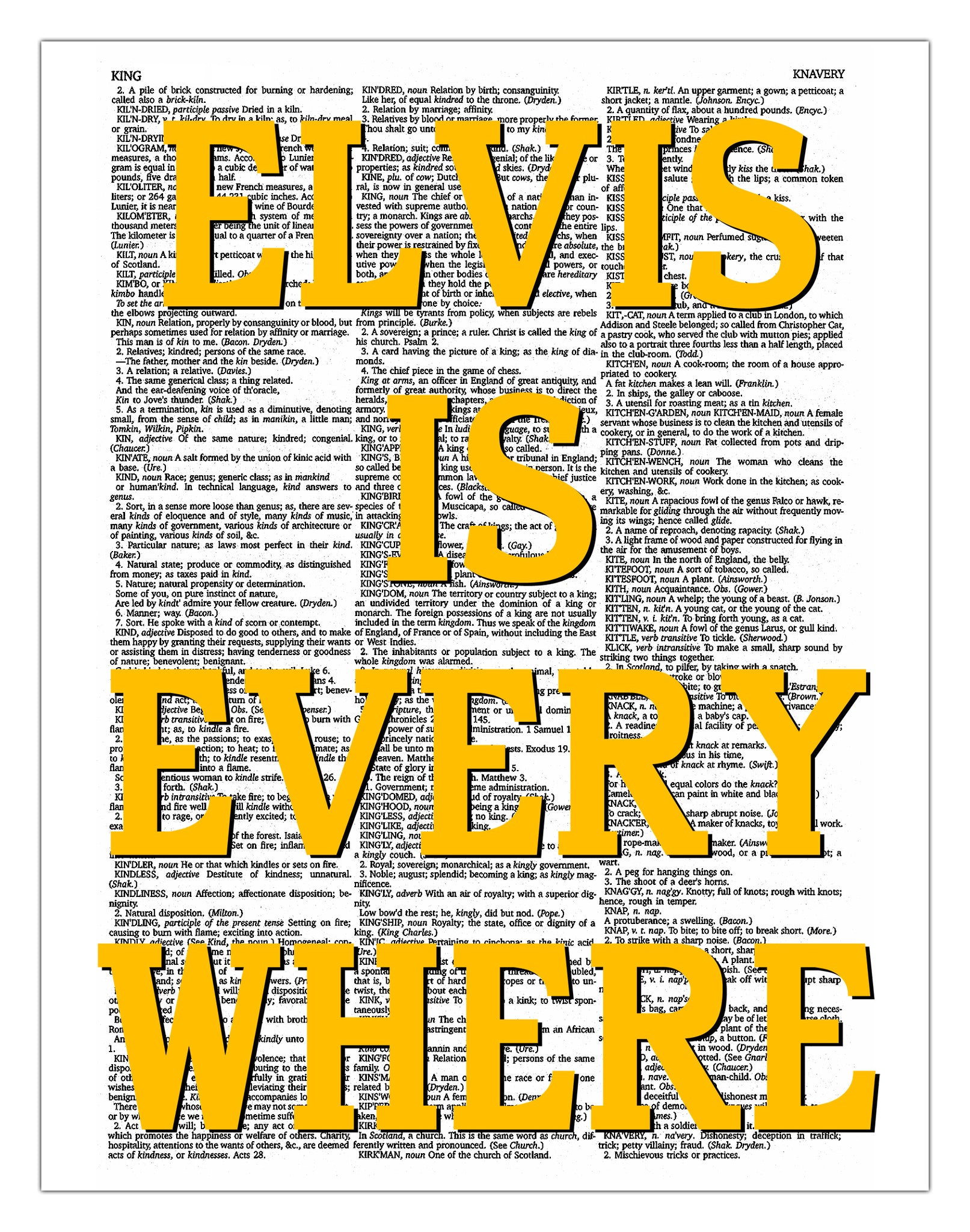 Elvis Is Everywhere 8.5