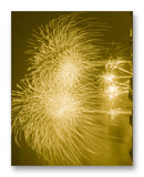 Splendid Fireworks 11" x 14" Mono Tone Print (Choose Your Color)
