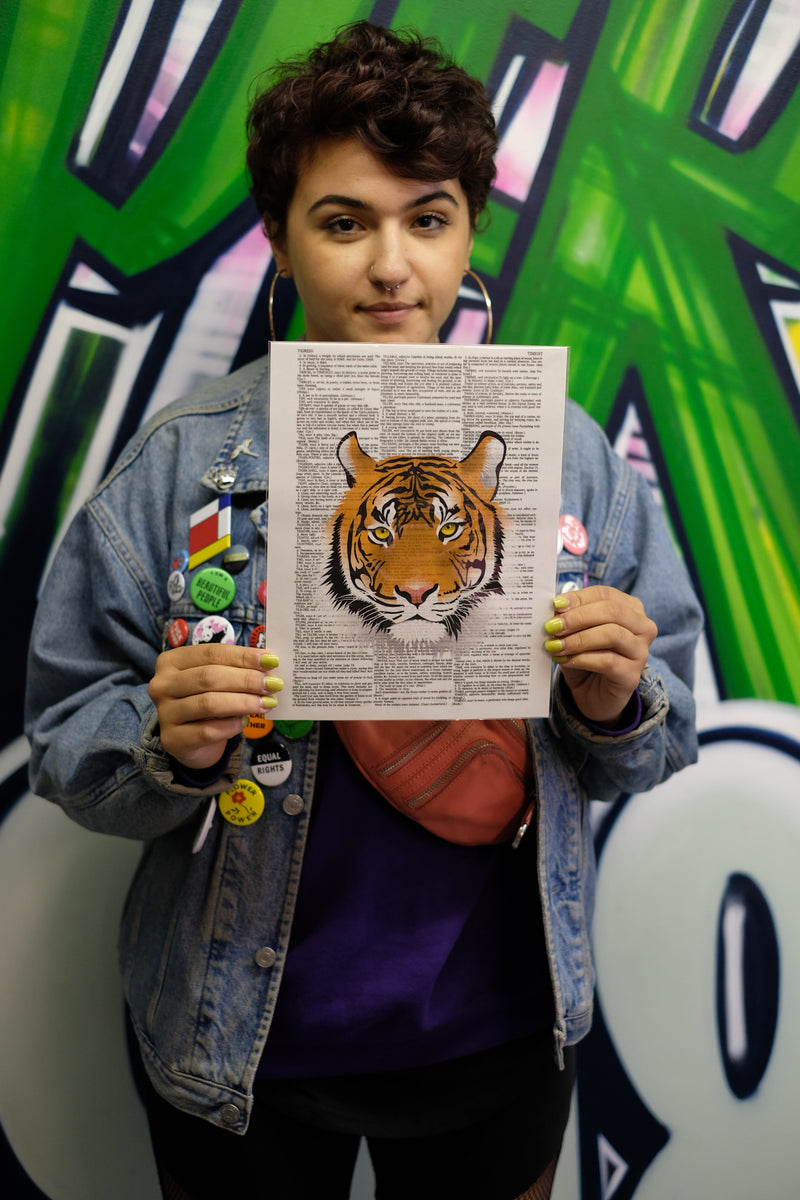 Tiger Illustration 8.5